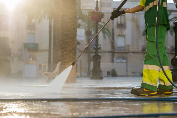 Animal Enclosure Cleaning in Cameron Park, CA